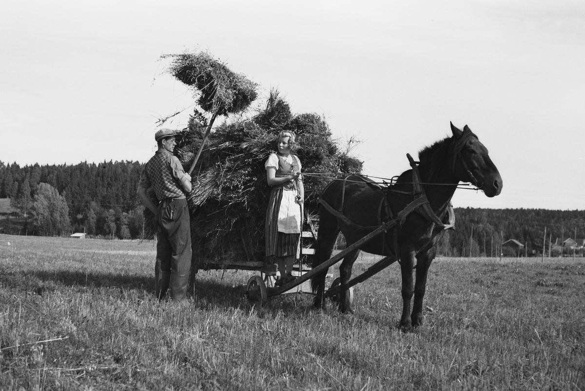 Anders Beer Wilse, Prot: Kornet Kjöres inn