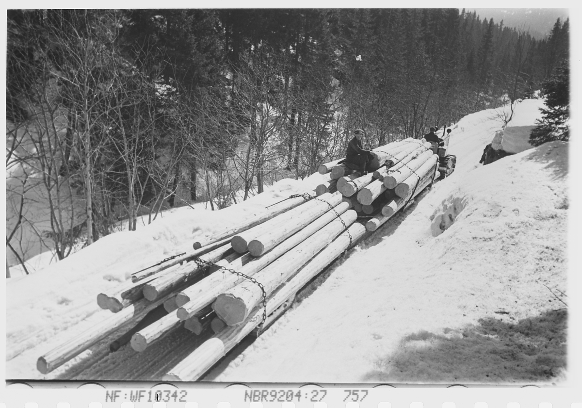 Anders Beer Wilse, Prot: Tömmertransport