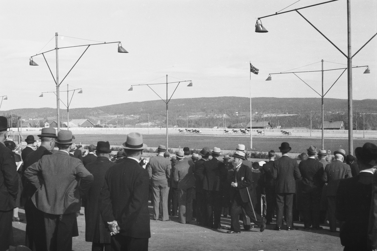 Anders Beer Wilse, Prot: Bjerke