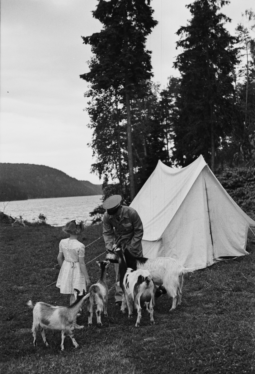 Anders Beer Wilse, Prot: Gjersöviken