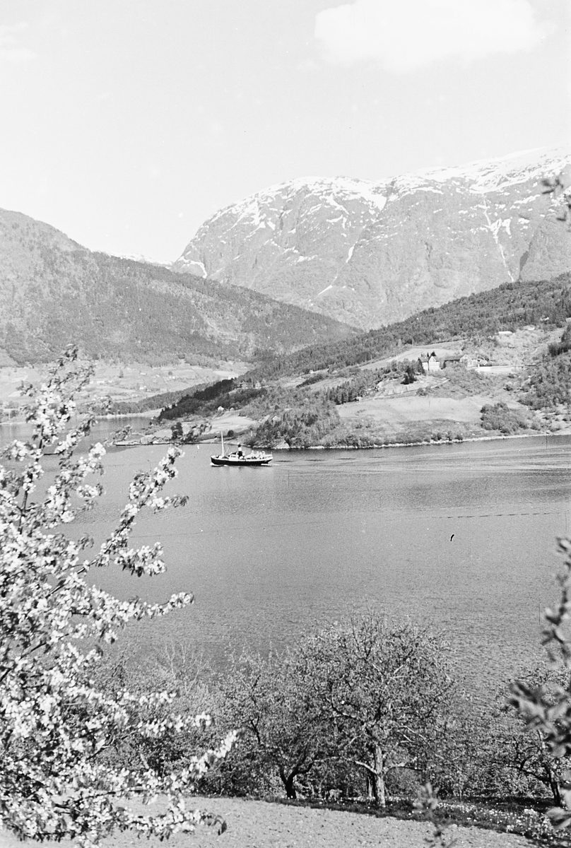Anders Beer Wilse, Prot: Ulvik
