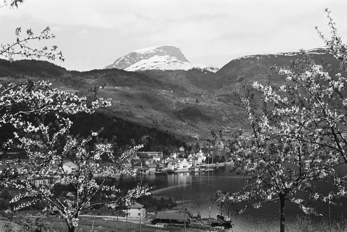 Anders Beer Wilse, Prot: Ulvik
