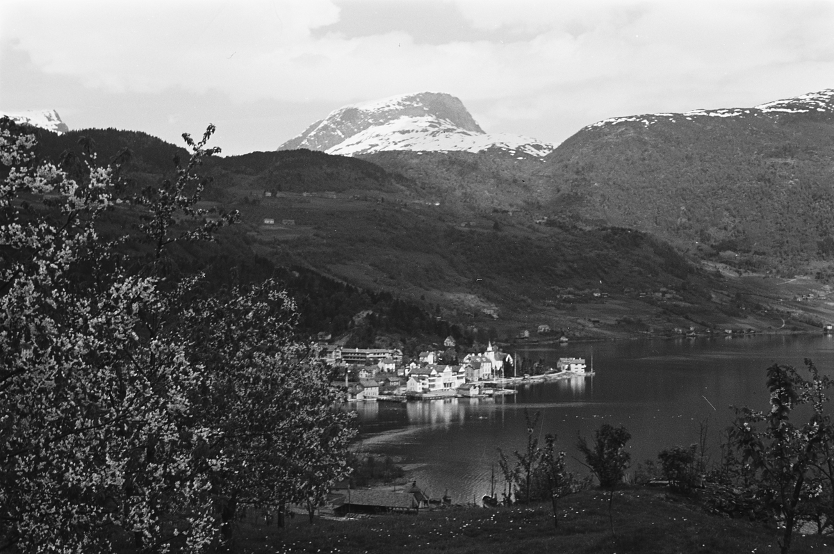 Anders Beer Wilse, Prot: Ulvik