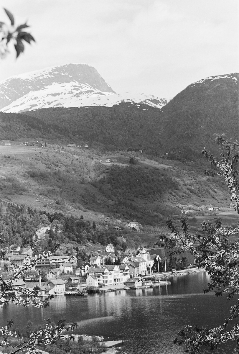 Anders Beer Wilse, Prot: Ulvik