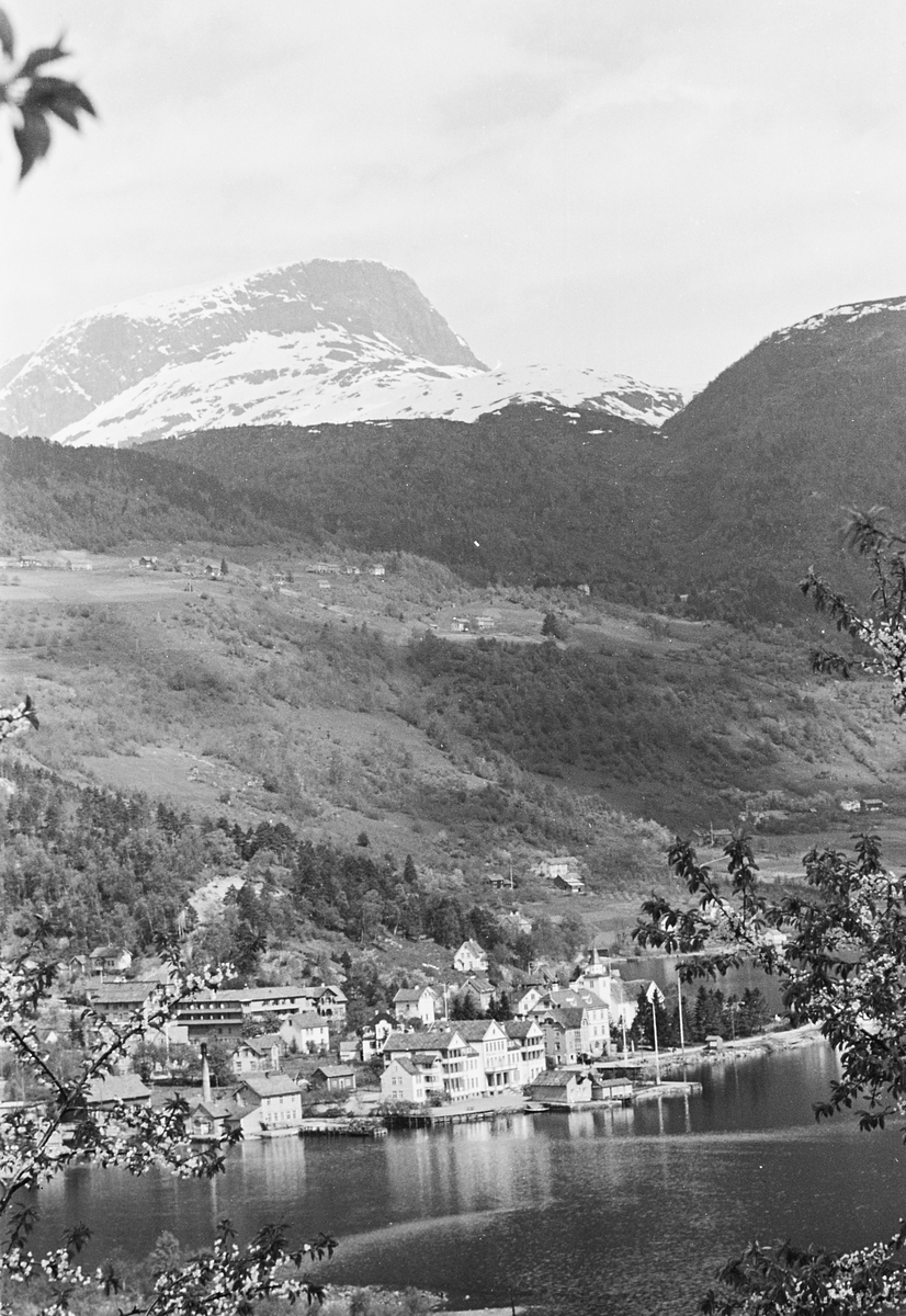 Anders Beer Wilse, Prot: Ulvik