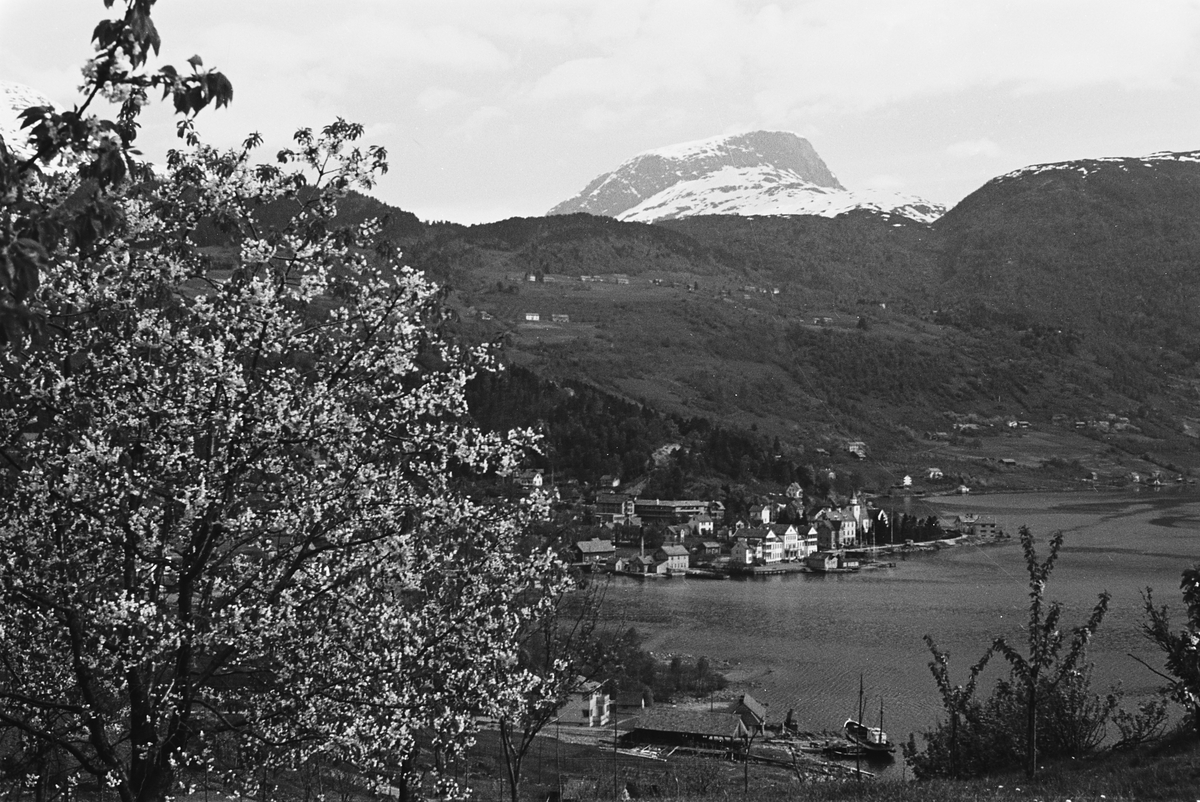 Anders Beer Wilse, Prot: Ulvik