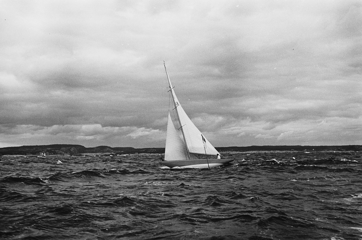 Anders Beer Wilse, Prot: Hanköregatta