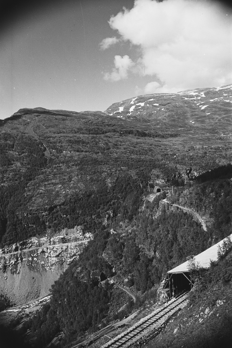 Anders Beer Wilse, Prot: Bergensbanen Flåmsdalen fra Bergensbanen