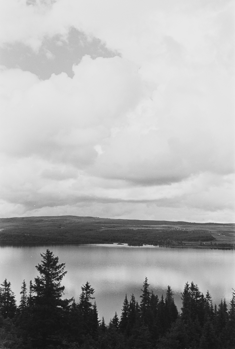 Anders Beer Wilse, Prot: Tisleifjorden