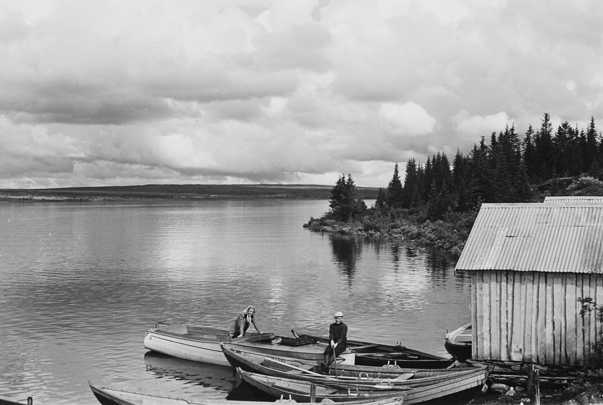 Anders Beer Wilse, Prot: Tisleifjorden