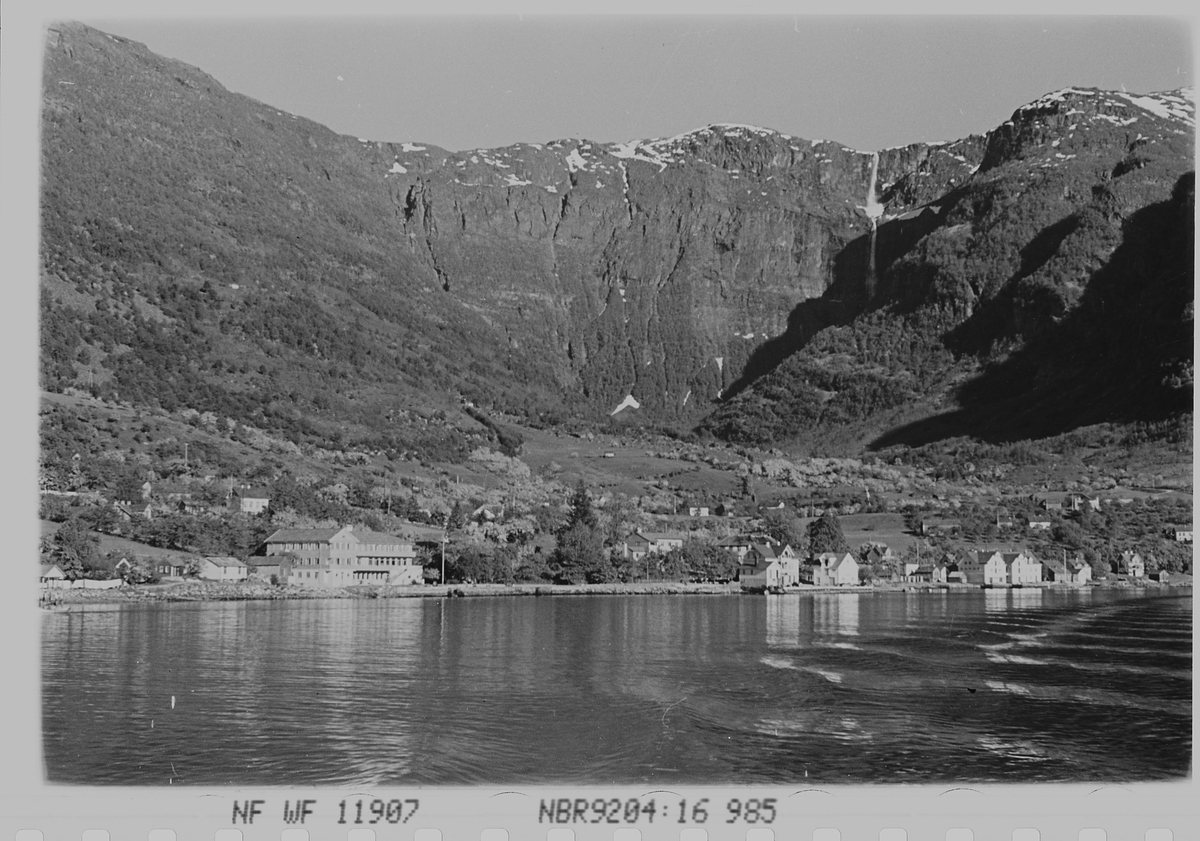 Anders Beer Wilse, Prot: Ullensvan fra fjorden
