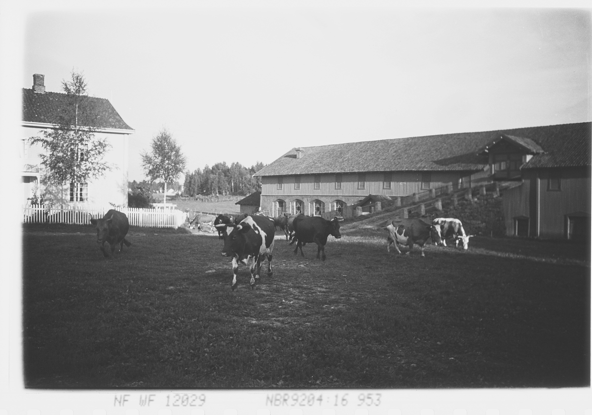 Anders Beer Wilse, Prot: Hedemark