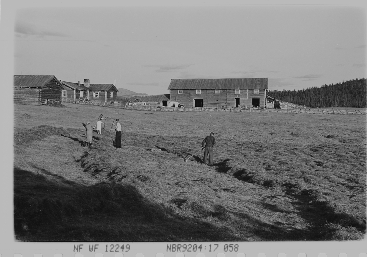 Anders Beer Wilse, Prot: Hierkjölen Fjellgård