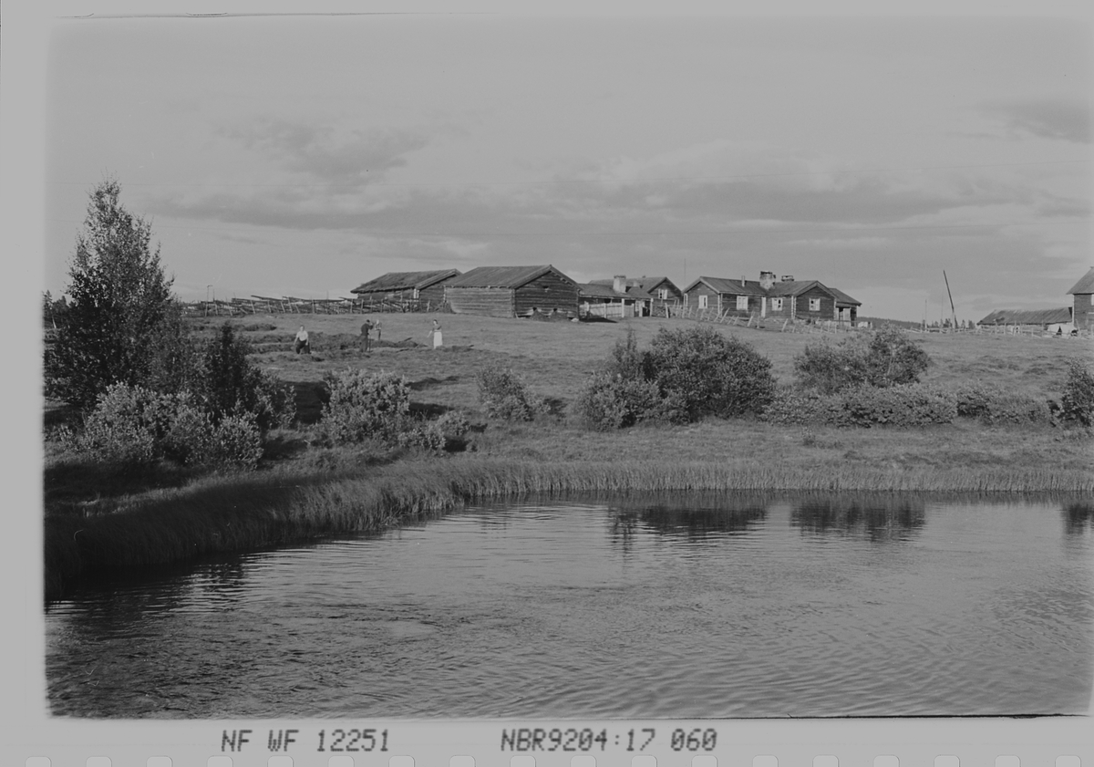 Anders Beer Wilse, Prot: Hierkjölen Fjellgård