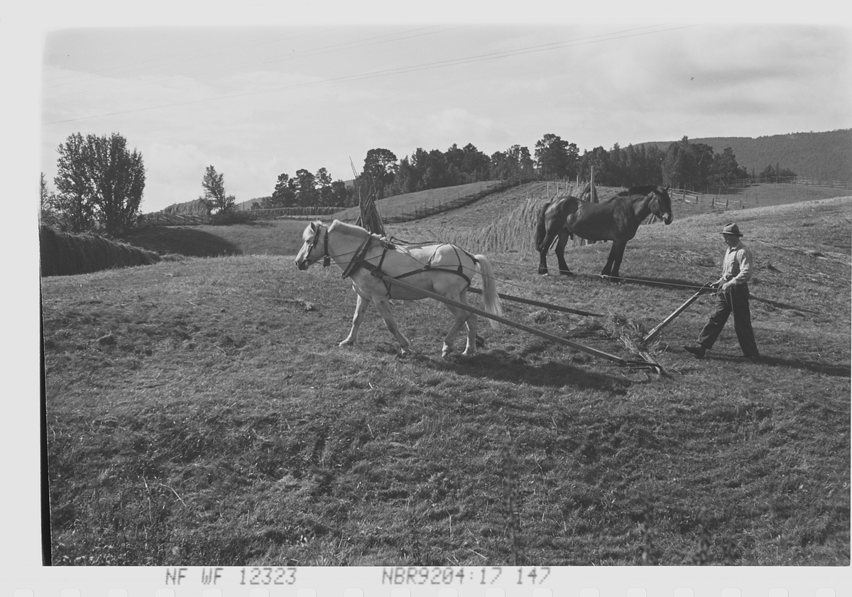 Anders Beer Wilse, Prot: Höirakning