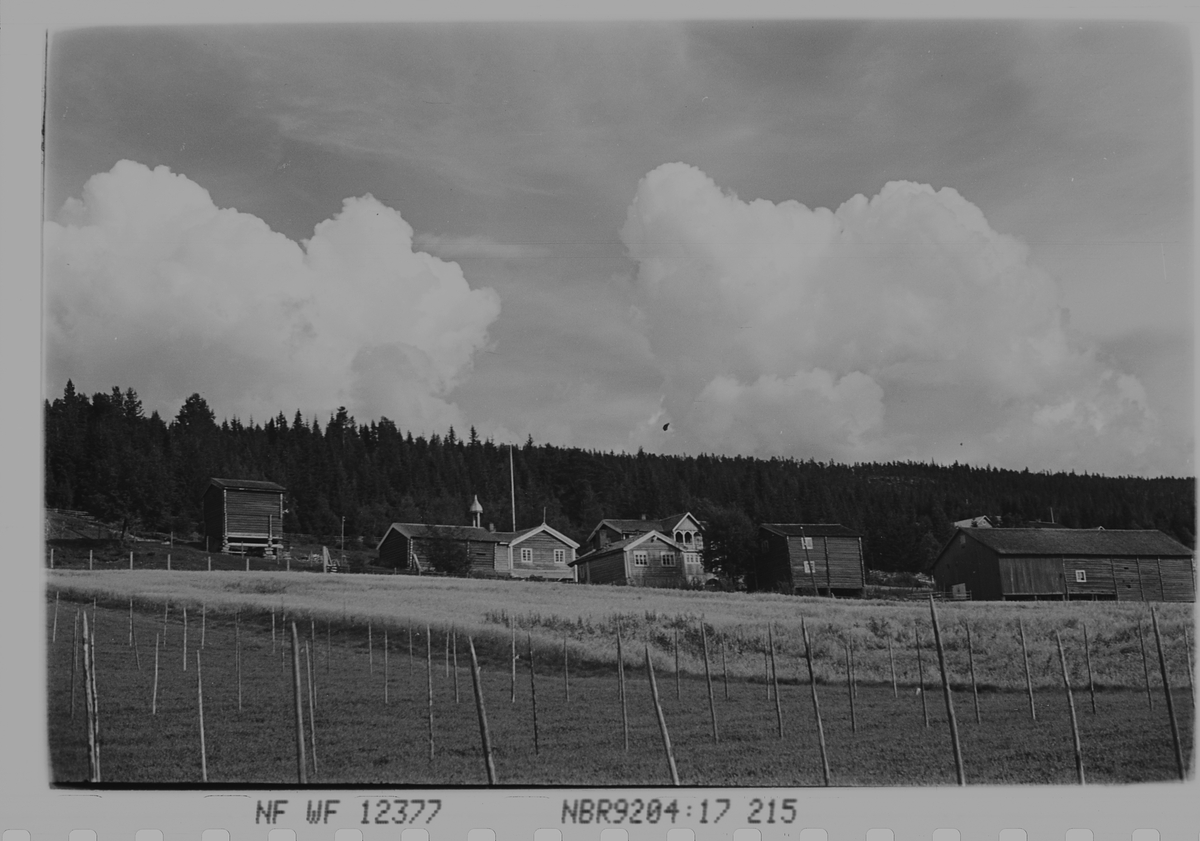 Anders Beer Wilse, Prot: Undset grend Brydalen
