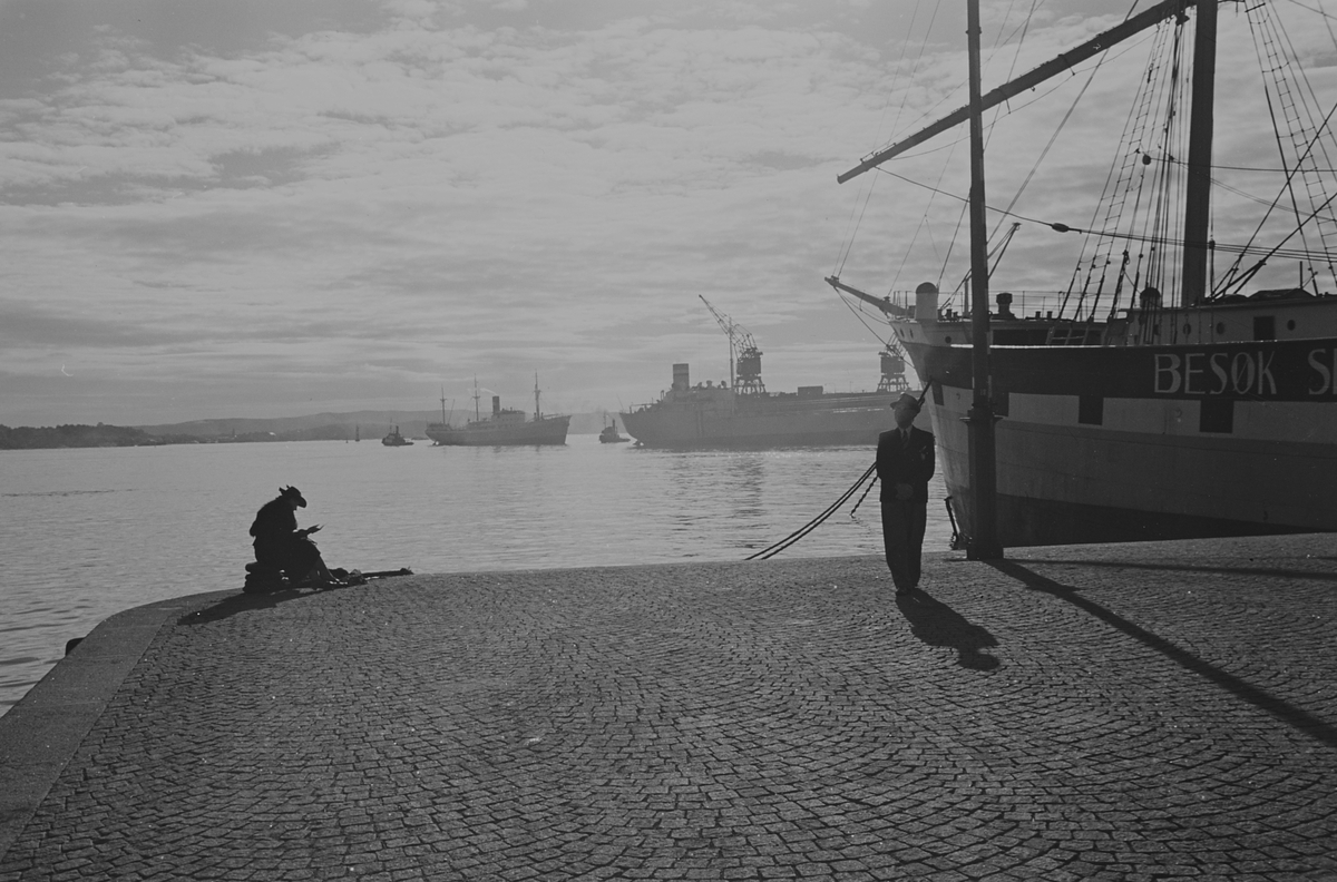 Anders Beer Wilse, Prot: Havnen