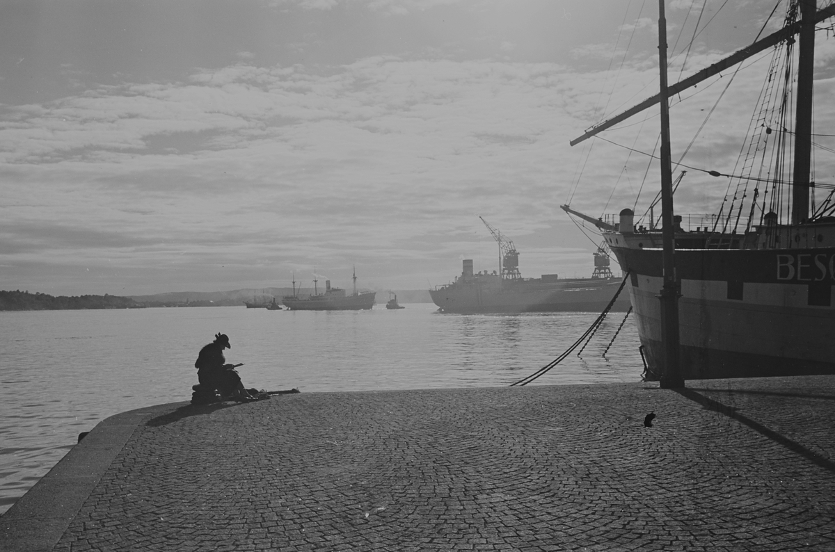 Anders Beer Wilse, Prot: Havnen