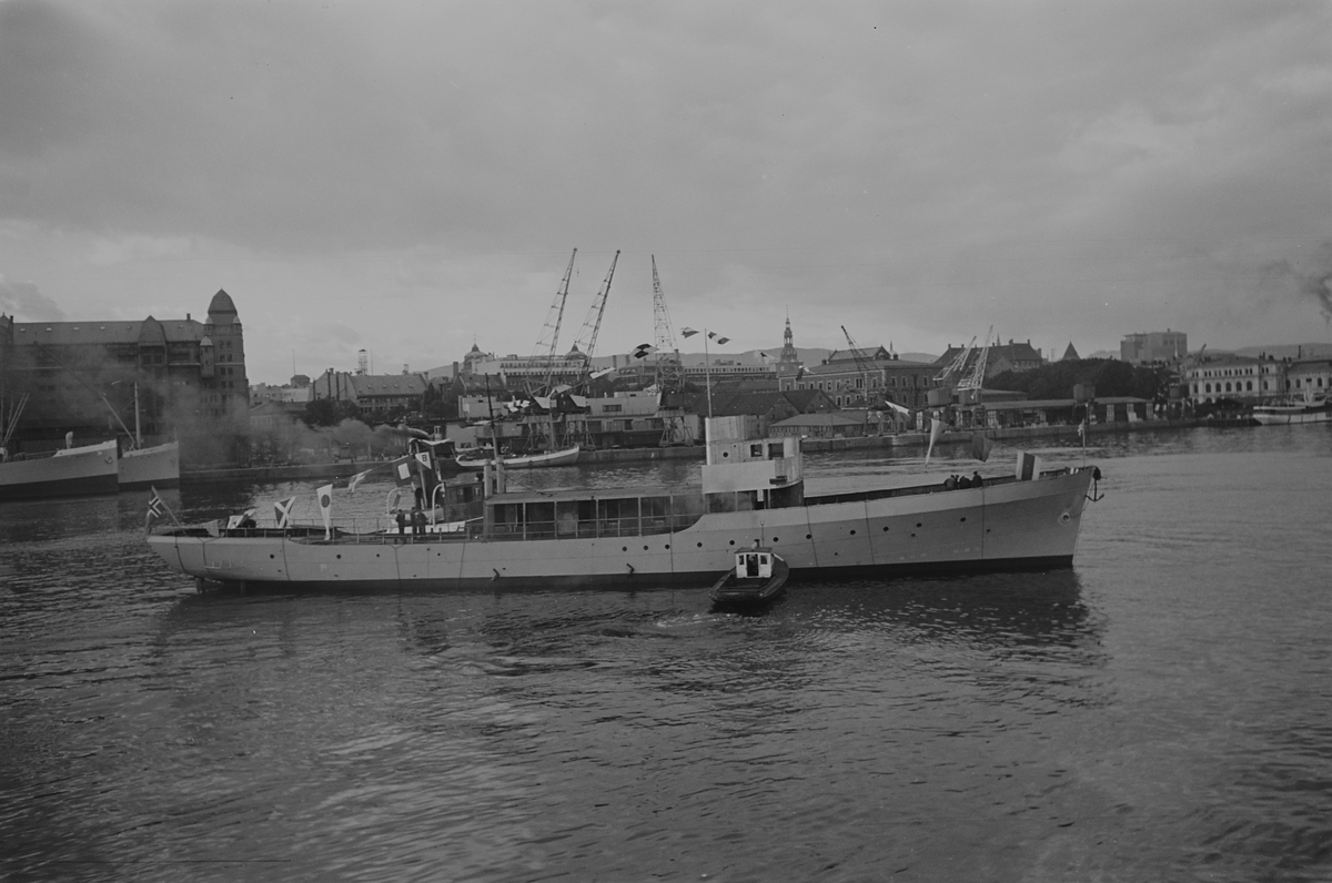 Anders Beer Wilse, Prot: Nyland