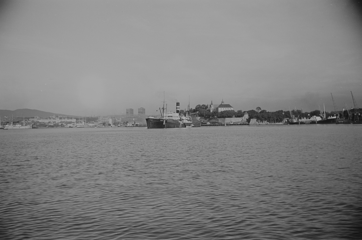 Anders Beer Wilse, Prot: Kullskib på havnen