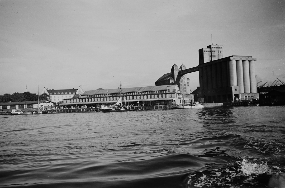 Anders Beer Wilse, Prot: Fiskehallen med danske fiskevarer