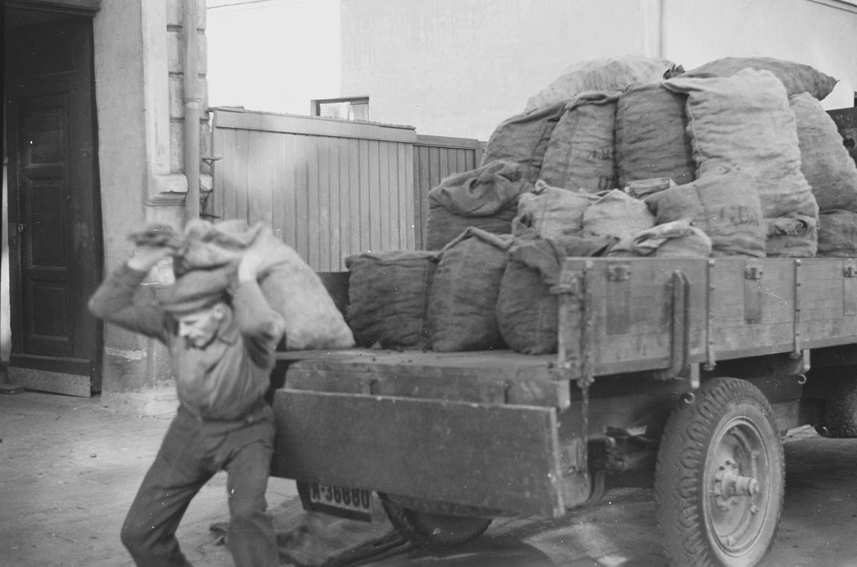 Anders Beer Wilse, Prot: Koks transport
