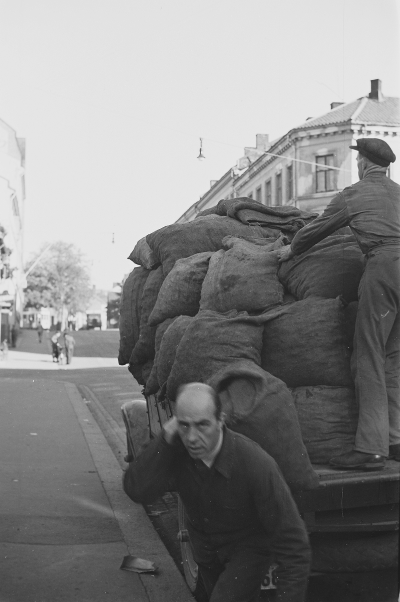 Anders Beer Wilse, Prot: Koks transport
