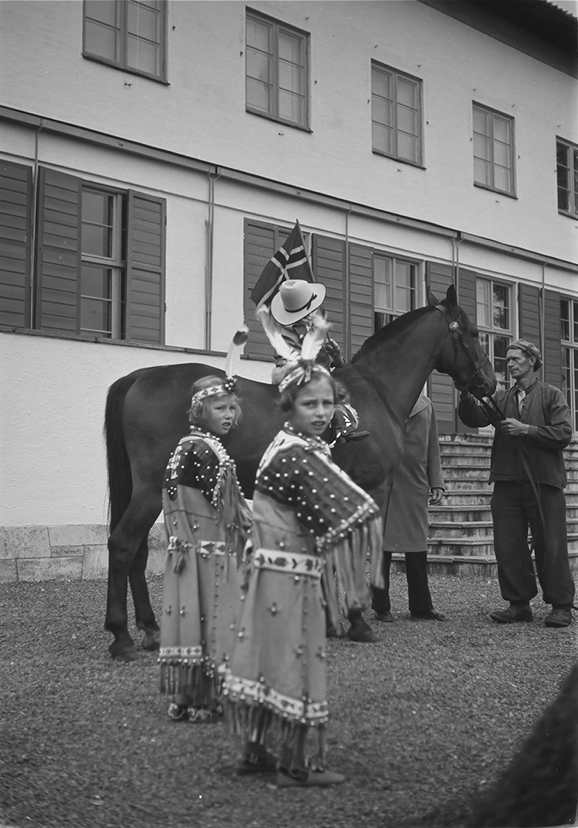 Anders Beer Wilse, Prot: Harald paa hesteryg