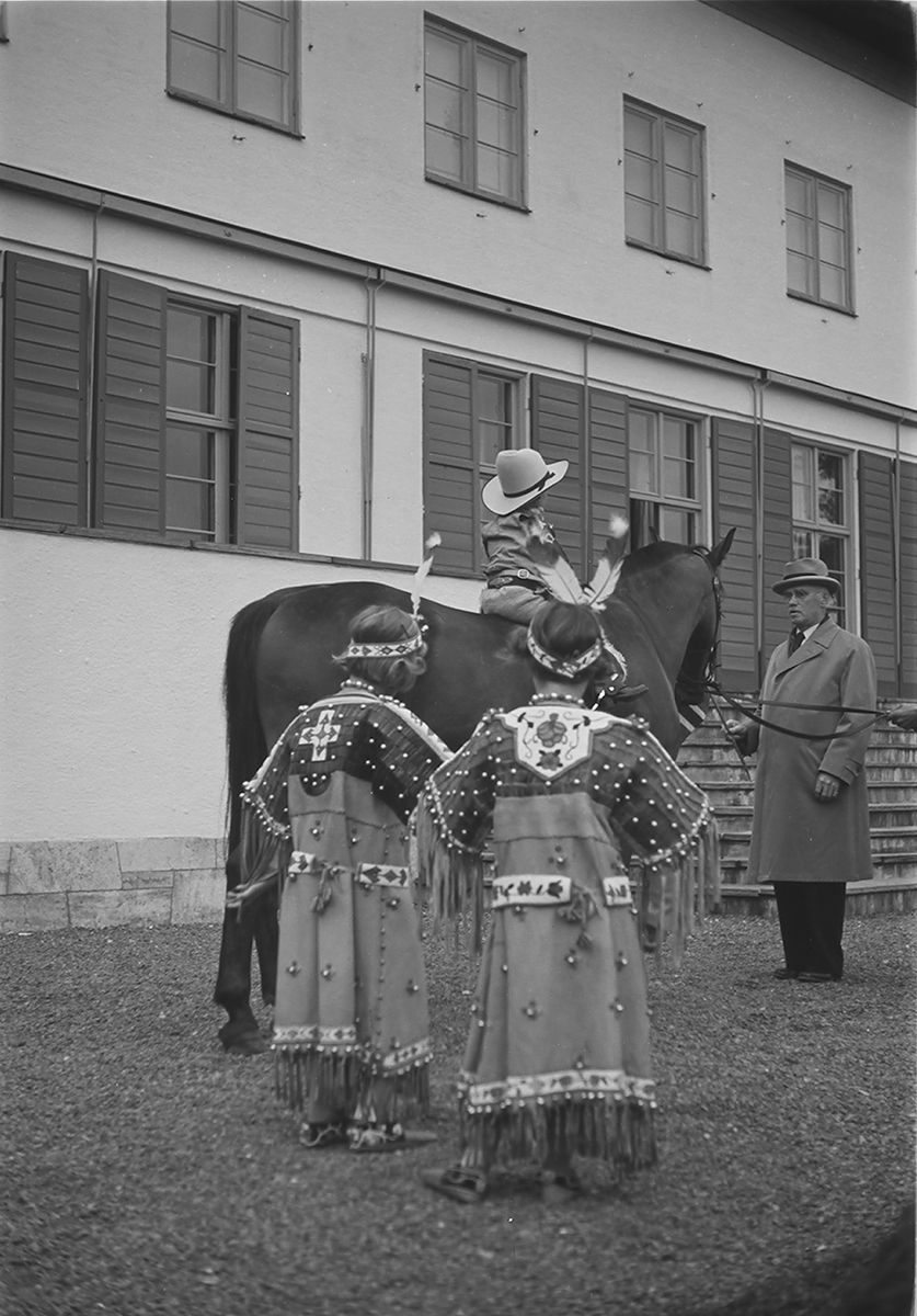 Anders Beer Wilse, Prot: Harald paa hesteryg