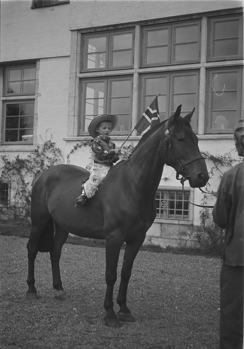 Anders Beer Wilse, Prot: Harald paa hesteryg