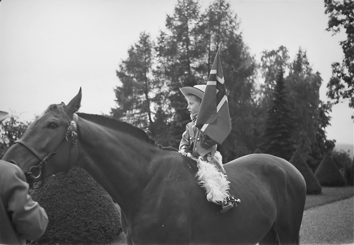 Anders Beer Wilse, Prot: Harald paa hesteryg
