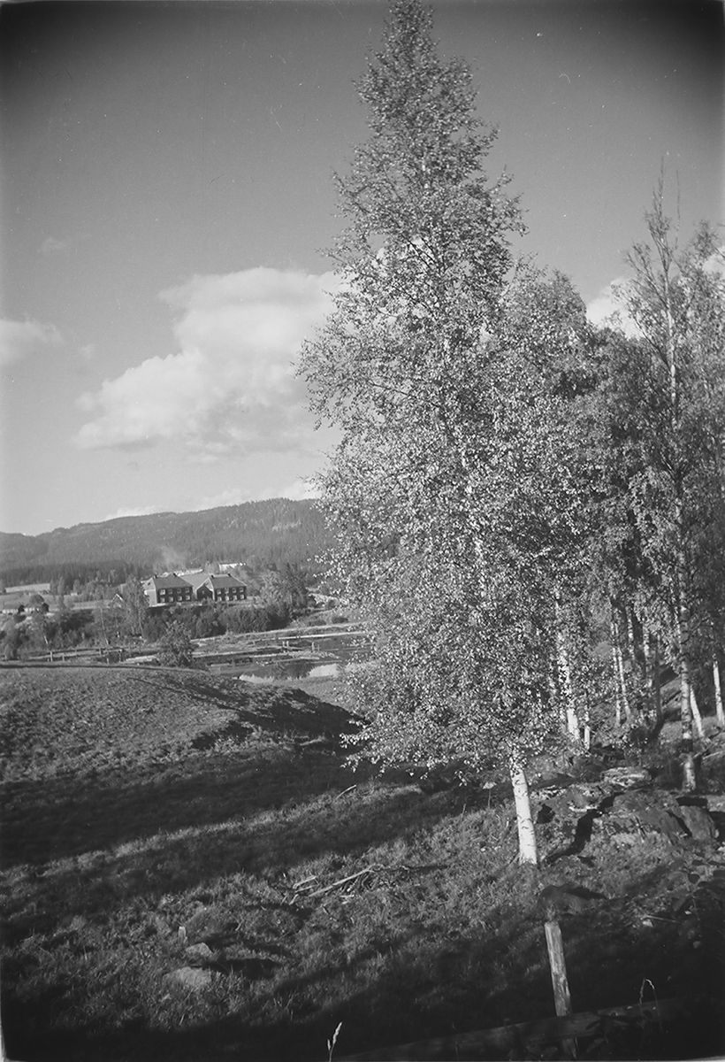 Anders Beer Wilse, Prot: Nordmarka (feil i prot)