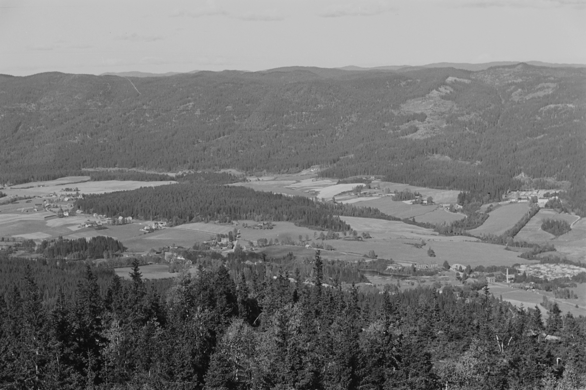 Anders Beer Wilse, Prot: Nordmarka