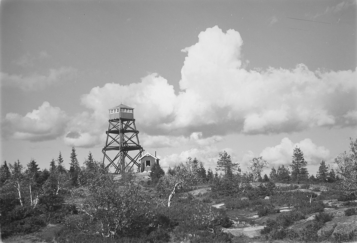 Anders Beer Wilse, Prot: Nordmarka Brandtaarn Varingskollen
