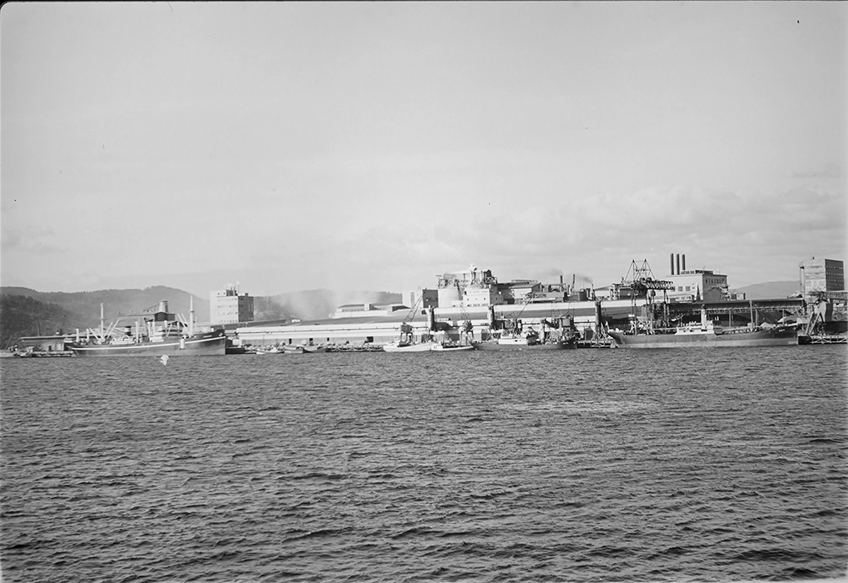 Anders Beer Wilse, Prot: Heröya