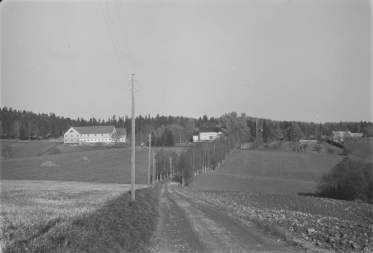 Anders Beer Wilse, Prot: Paltinareve