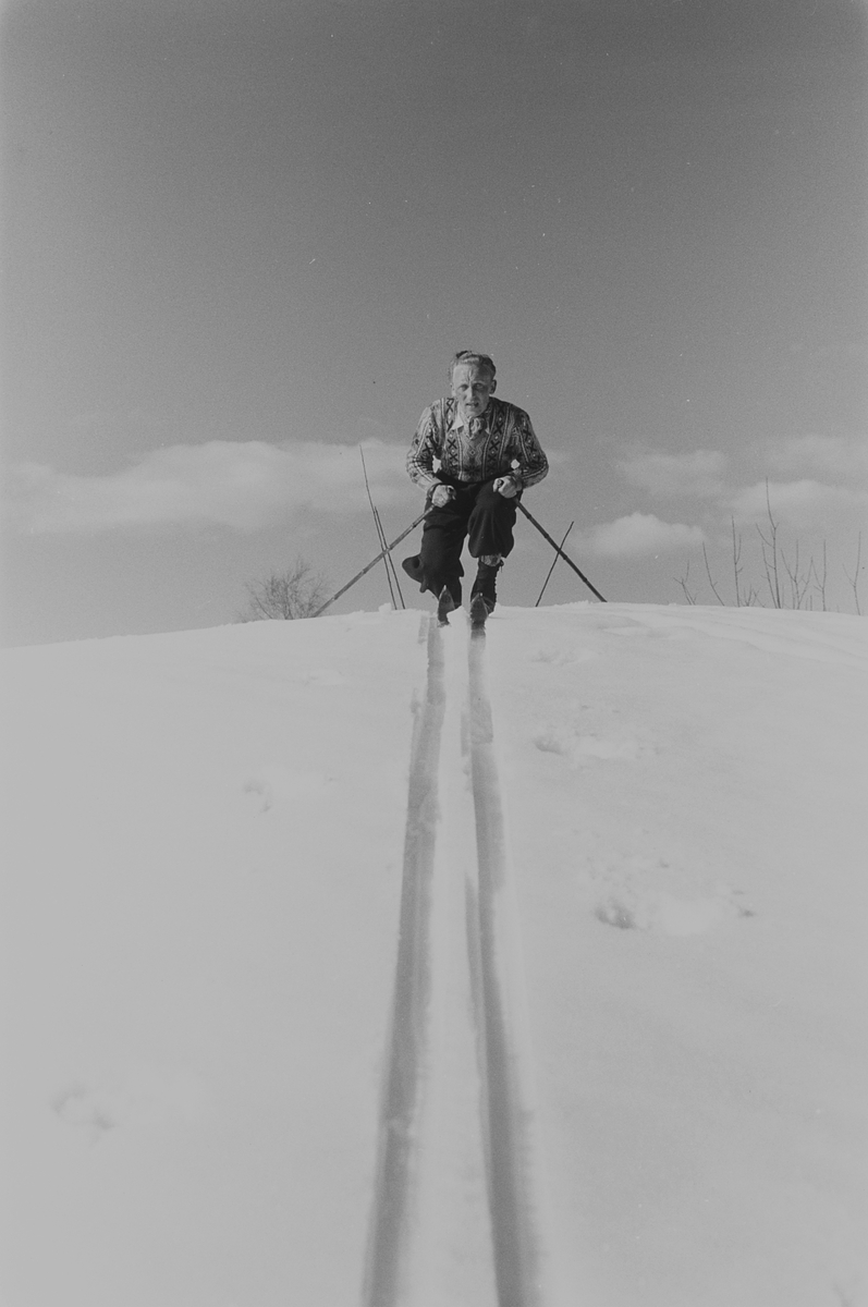 Anders Beer Wilse, Prot: Slalum