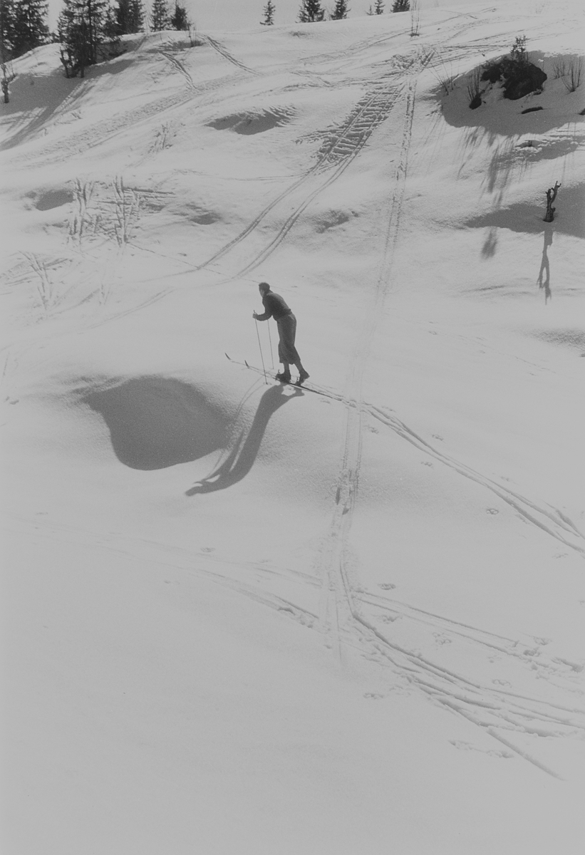 Anders Beer Wilse, Prot: Slalum