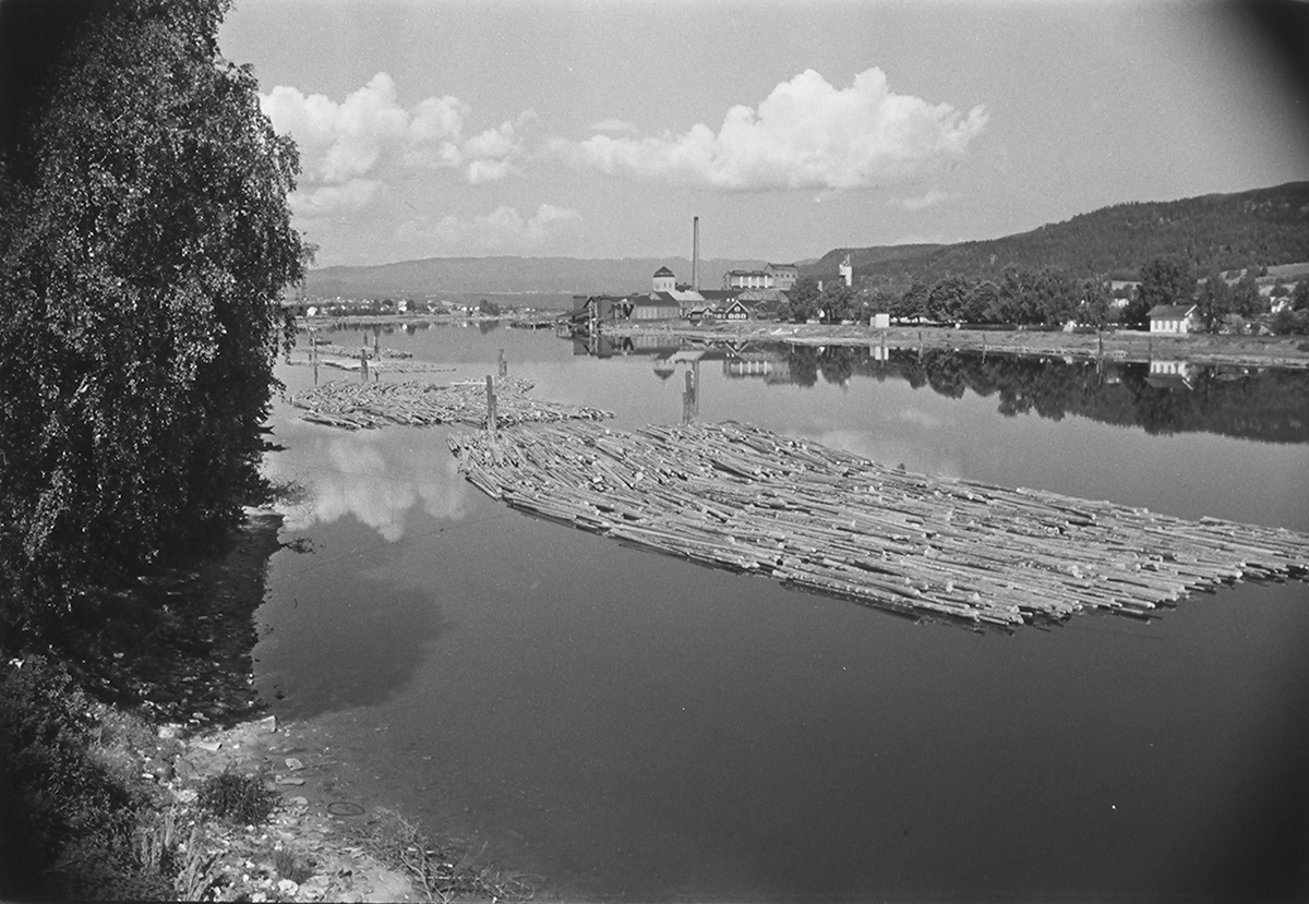 Anders Beer Wilse, Prot: Mjøndalen