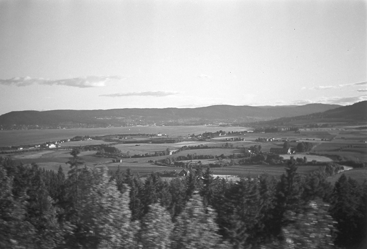 Anders Beer Wilse, Landskap. Antatt Drammen. Fotografert 1940.