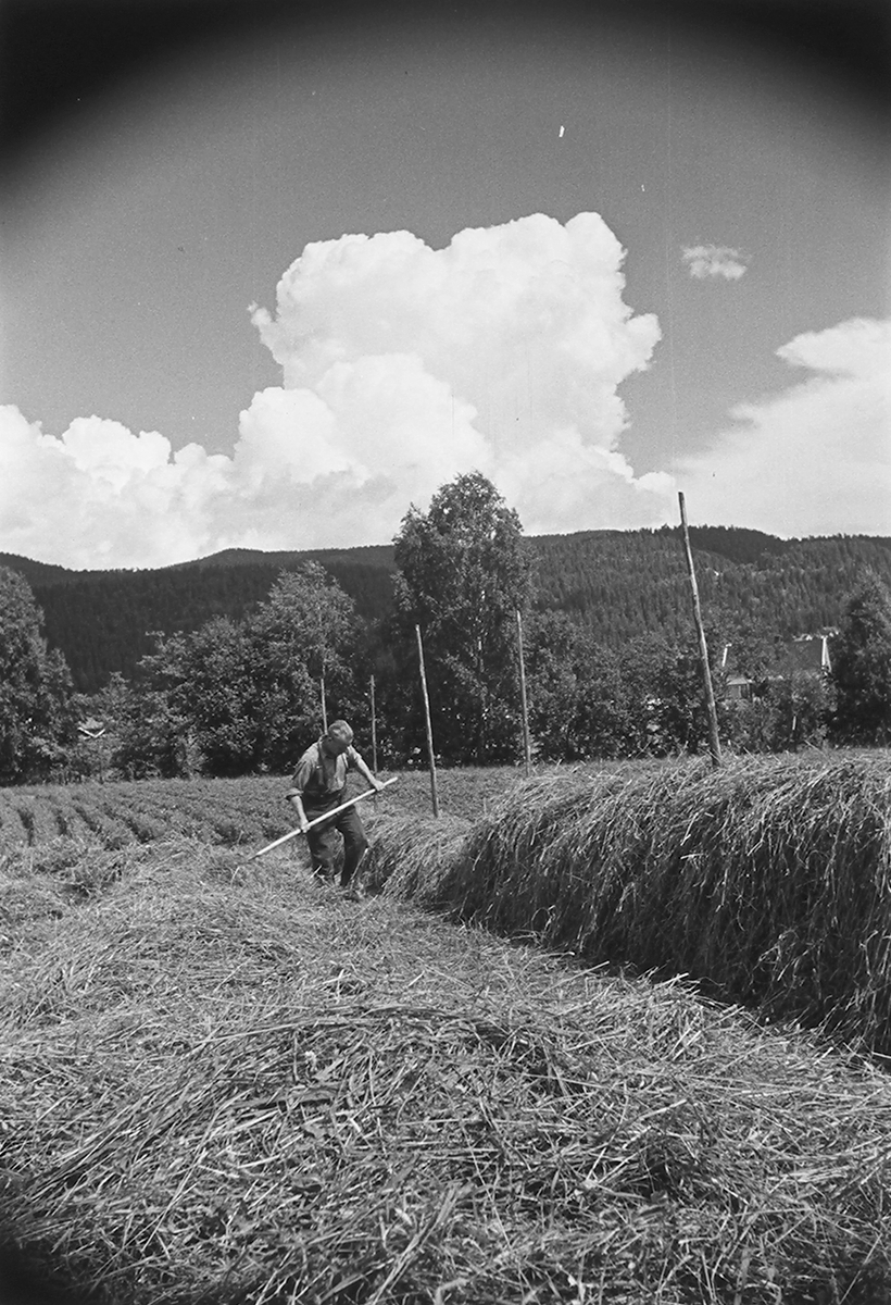 Anders Beer Wilse, Prot: Höiånd Mjøndalen