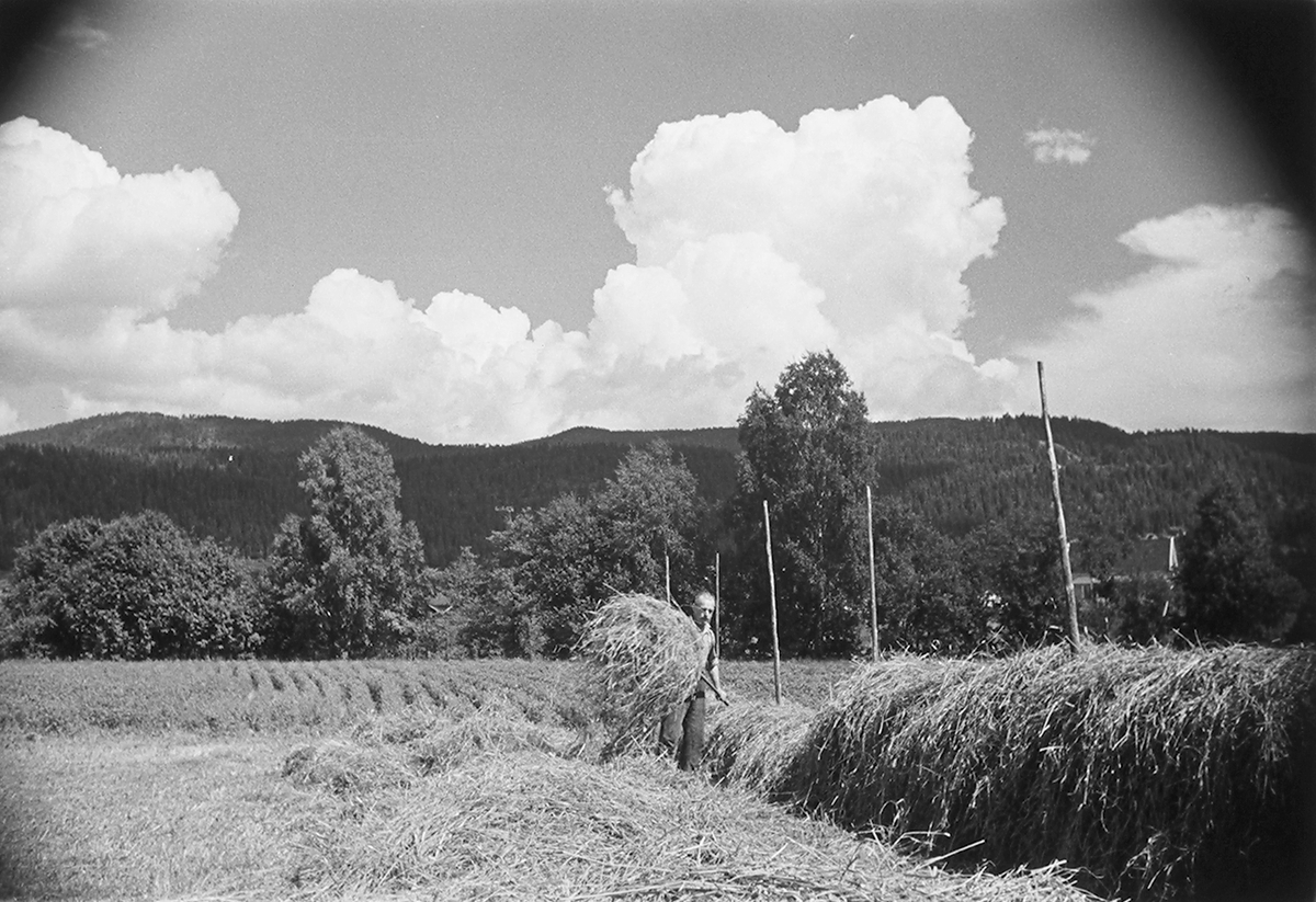 Anders Beer Wilse, Prot: Höiånd Mjøndalen
