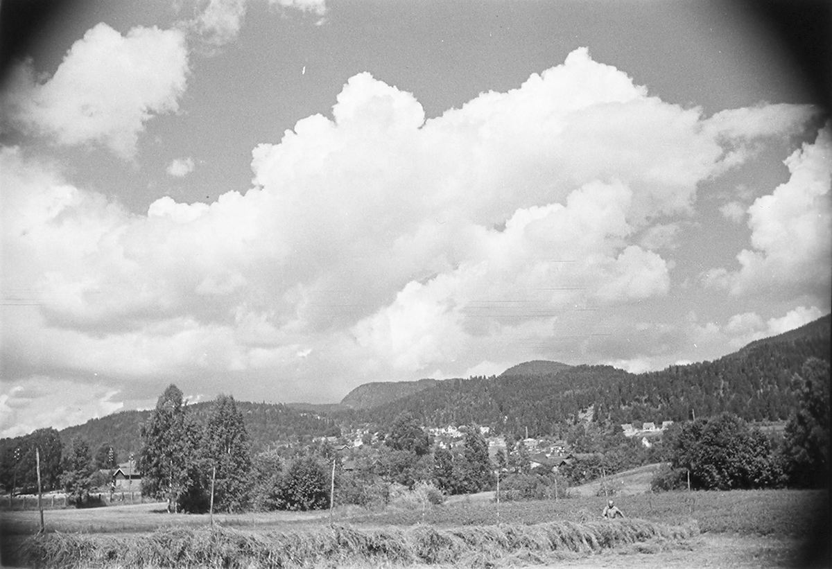 Anders Beer Wilse, Prot: Höiånd Mjøndalen