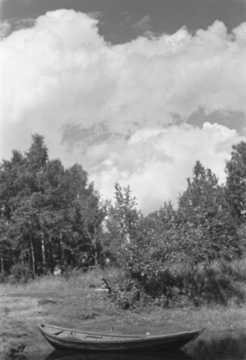 Anders Beer Wilse, Prot: Höiånd Mjøndalen