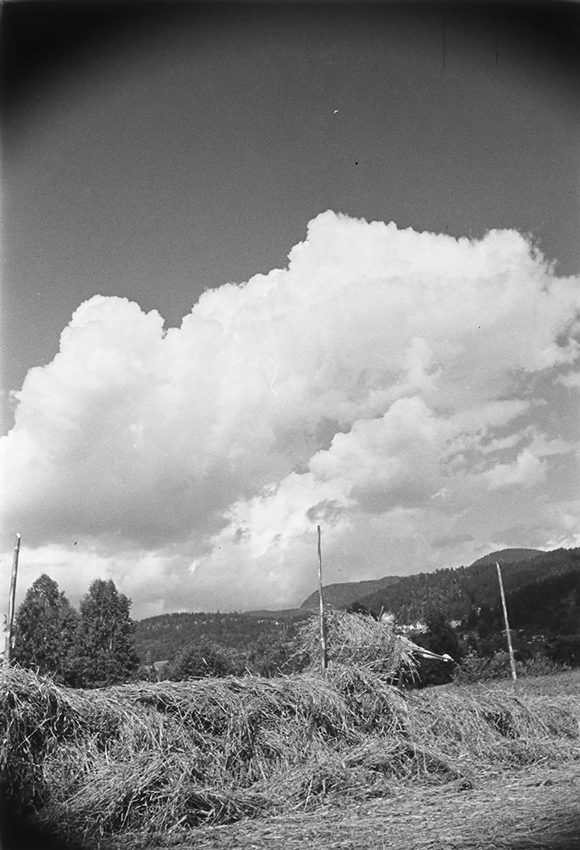 Anders Beer Wilse, Prot: Höiånd Mjøndalen