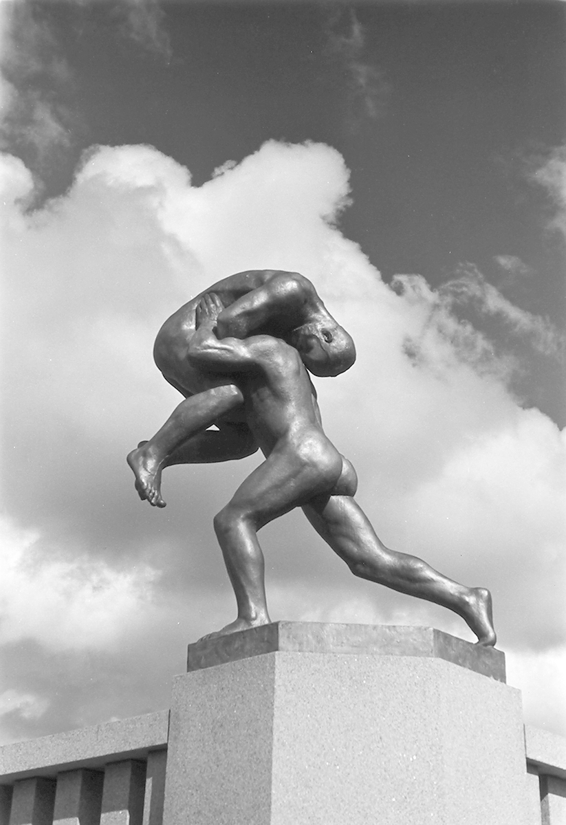 Anders Beer Wilse, Prot: Vigelands