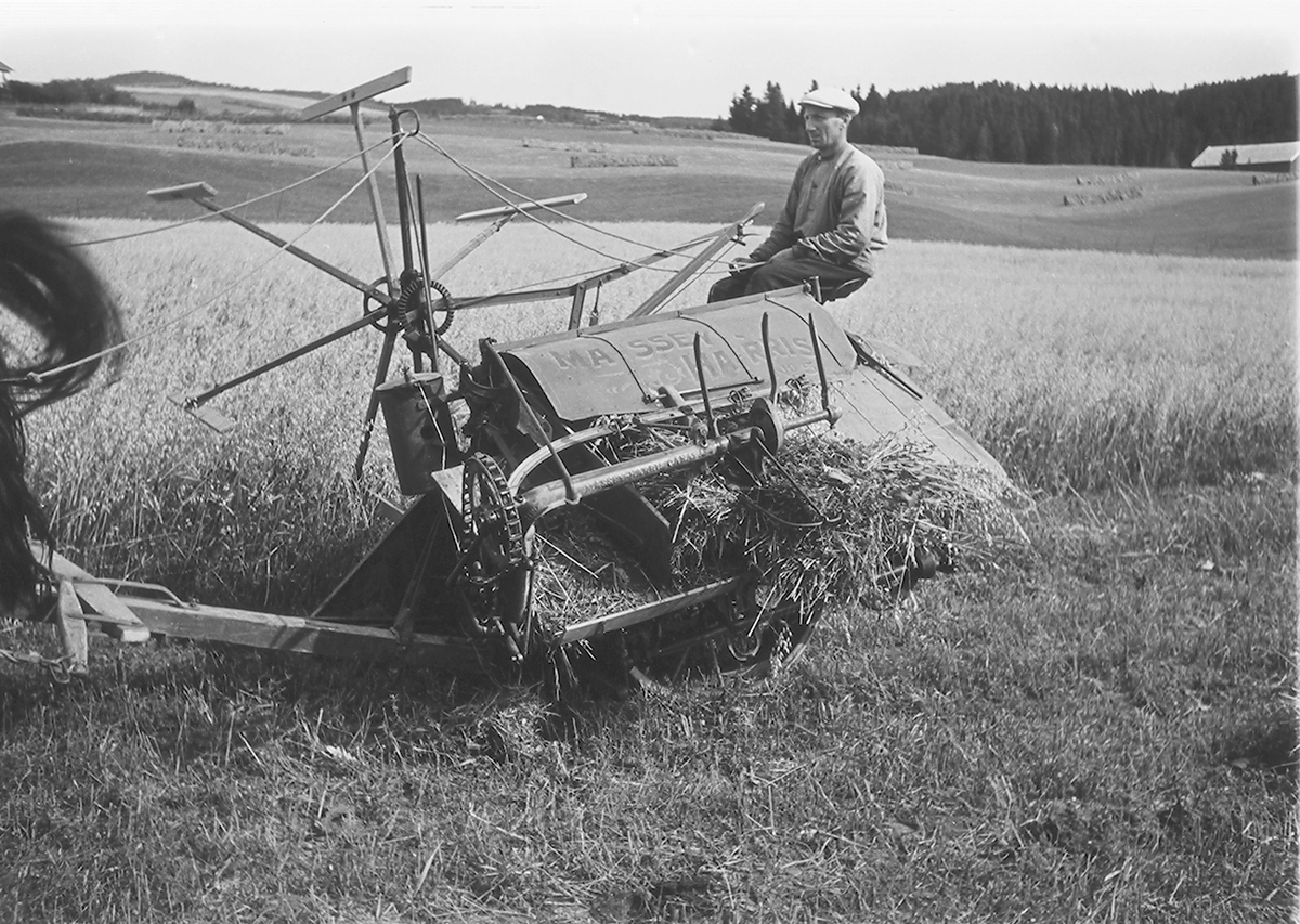 Anders Beer Wilse, Prot: Björge gård Hadeland Mand