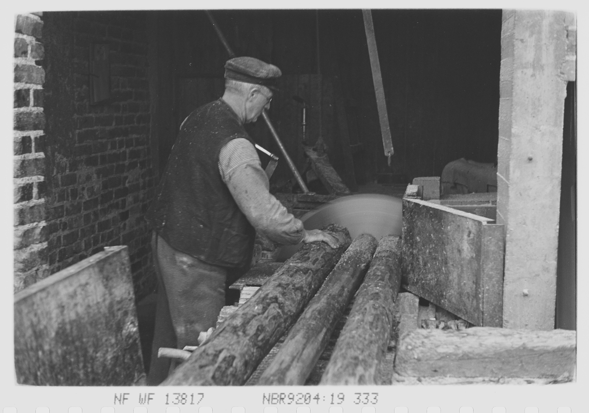 Anders Beer Wilse, Prot: Mesna Tresliperi. opkutning stokker.