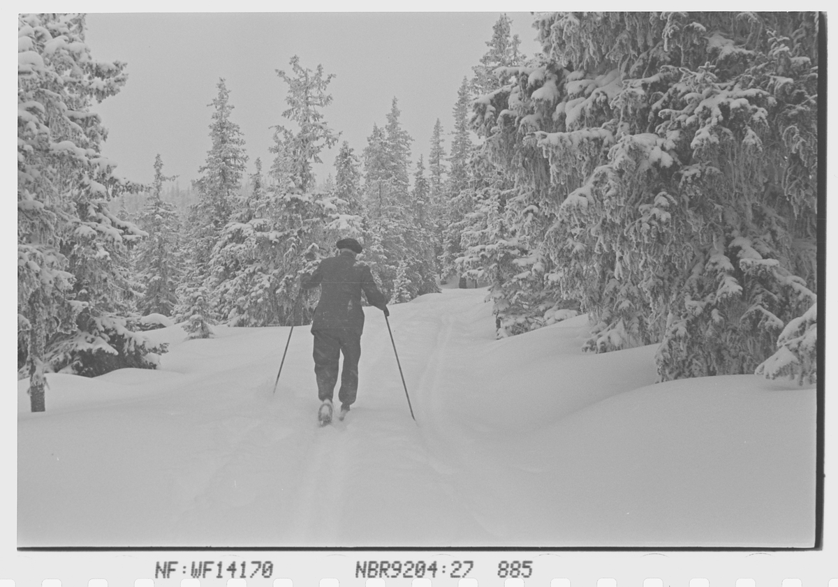Anders Beer Wilse, Prot: Larsen G.A. på ski (feil i prot)
