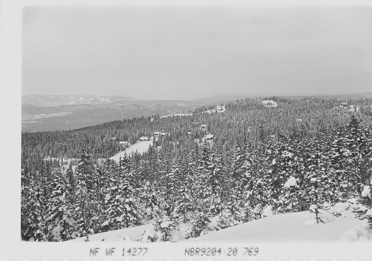Anders Beer Wilse, Prot: Ringkollen Hotel